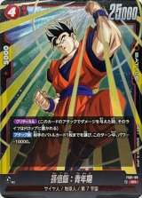 孫悟飯：青年期【SR】{FS01-09}