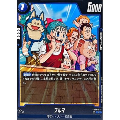 画像1: ブルマ【C】{FB06-035}