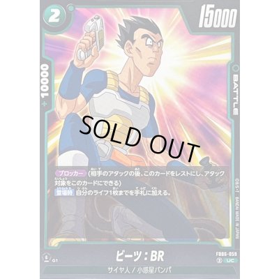 画像1: ビーツ：BR【UC】{FB06-059}