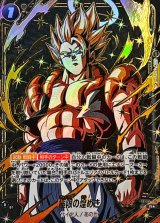 極限の煌めき(パラレル/金文字)【R☆】{FB05-115[FB06]}