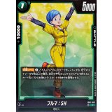 ブルマ：SH【C】{FB07-067}