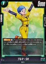 ブルマ：SH【C】{FB07-067}