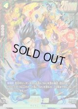 孫悟飯：SH(パラレル)【SR☆】{FB07-058}