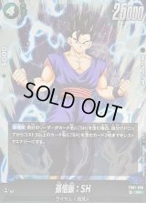 〔状態B〕孫悟飯：SH【SR】{FB07-058}