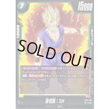 〔状態B〕孫悟飯：SH【UC】{FB07-057}