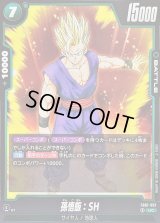 〔状態B〕孫悟飯：SH【UC】{FB07-057}