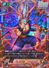 孫悟飯：SH(パラレル)【SCR☆】{FB07-121}