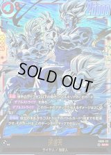 孫悟天【SCR】{FB08-121}