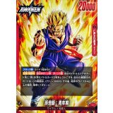 孫悟飯：青年期【L】{FB08-001}