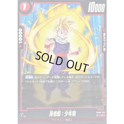 画像1: 孫悟飯：少年期【C】{FB08-010}