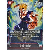 孫悟飯：青年期【SR】{FB08-012}