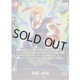 〔状態A-〕孫悟飯：青年期【SR】{FB08-012}