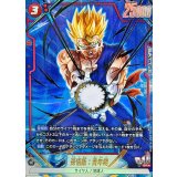 孫悟飯：青年期(パラレル)【SR☆】{FB08-012}