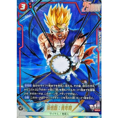 画像1: 孫悟飯：青年期(パラレル)【SR☆】{FB08-012}