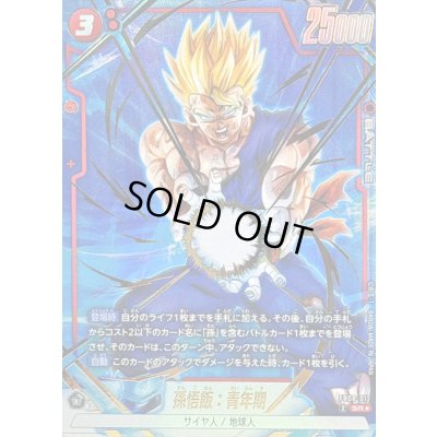 画像1: 孫悟飯：青年期(パラレル)【SR☆】{FB08-012}