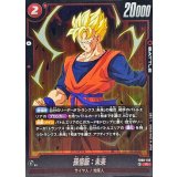 孫悟飯：未来【R】{FB08-013}