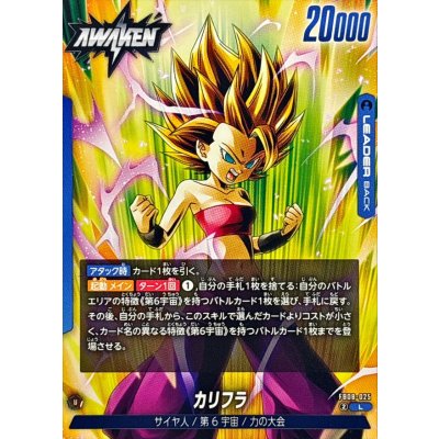 画像1: カリフラ【L】{FB08-025}