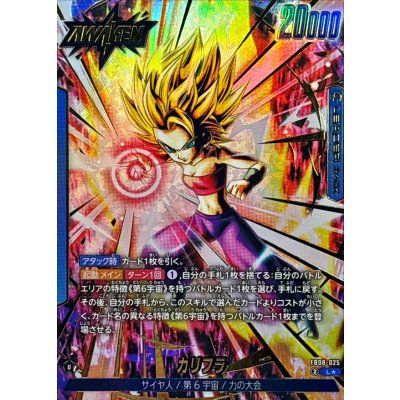 画像1: カリフラ(パラレル)【L☆】{FB08-025}