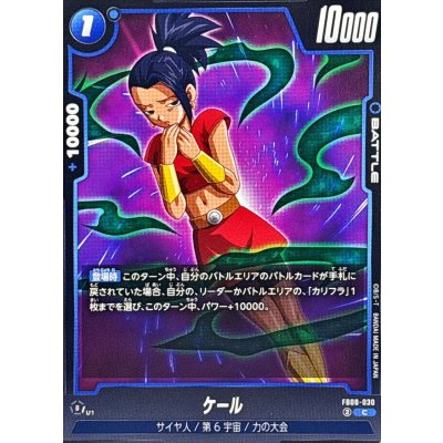 画像1: ケール【C】{FB08-030}