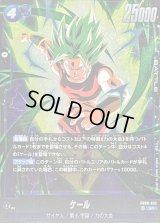 ケール【SR】{FB08-032}