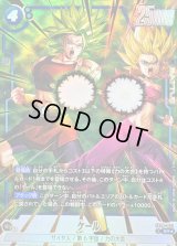 〔状態B〕ケール(パラレル)【SR☆】{FB08-032}