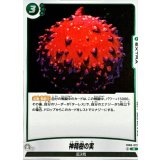 神精樹の実【R】{FB08-072}