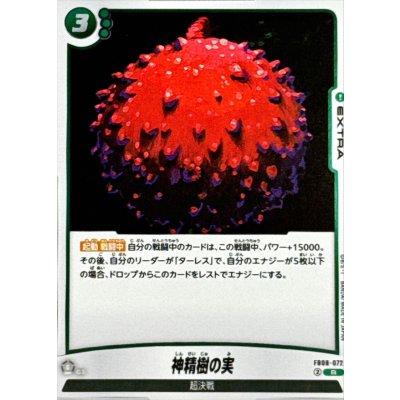 画像1: 神精樹の実【R】{FB08-072}