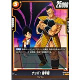 ナッパ：青年期【C】{FB08-080}