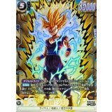 孫悟飯：少年期(パラレル)【SR☆】{FB08-106}