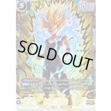 孫悟飯：少年期(パラレル)【SR☆】{FB08-106}