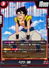 ベクウ：BR【C】{FB09-017}