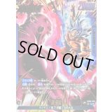 孫悟空(パラレル)【L☆】{FB09-025}