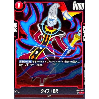 画像1: ウイス：BR【C】{FB09-003}