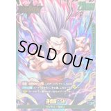 孫悟飯：SH(パラレル)【L☆】{FB09-049}