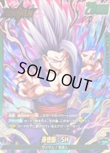 孫悟飯：SH(パラレル)【L☆】{FB09-049}