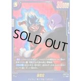 孫悟空(パラレル)【R☆】{FB09-036}