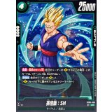 孫悟飯：SH【UC】{FB09-058}