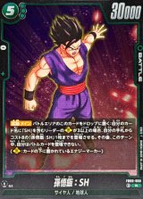 孫悟飯：SH【R】{FB09-059}