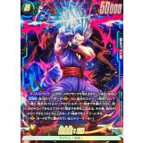 孫悟飯：SH(パラレル)【SR☆】{FB09-060}