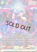 〔状態A-〕孫悟飯：SH(パラレル)【SR☆】{FB09-060}