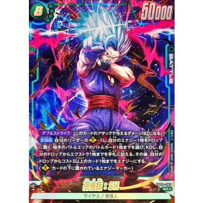 画像1: 孫悟飯：SH(パラレル)【SR☆】{FB09-060}