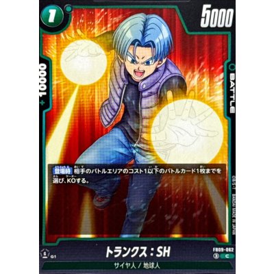 画像1: トランクス：SH【C】{FB09-062}