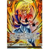 悪鬼を討つ戦士(パラレル)【SR☆】{FB09-096}