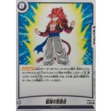 最強の到達点【UC】{FB09-119}