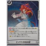 ビッグバンかめはめ波【R】{FB09-120}