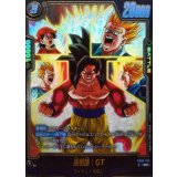 孫悟飯：GT(パラレル)【R☆】{FB09-105}