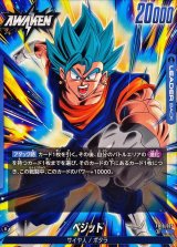 ベジット【L】{FB10-025}
