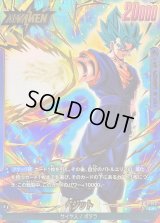 〔状態A-〕ベジット(パラレル)【L☆】{FB10-025}