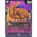 セル【C】{FB10-106}