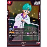 ブルマ【R】{FB11-020}